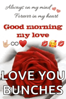 a good morning message with a red rose and the words love you bunches