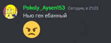 a screenshot of a discord conversation between pokoly aysen153 and a smiley face