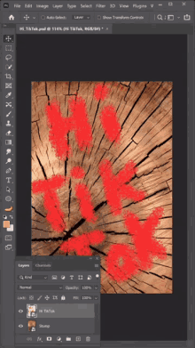 a photo of a tree stump is being edited in adobe photoshop