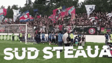 a group of people standing on top of a soccer field with the words sud steaua written in white letters .