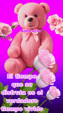 a pink teddy bear is surrounded by pink roses and the words el tiempo que se disfruta es el verdadero tiempo vivido on the bottom