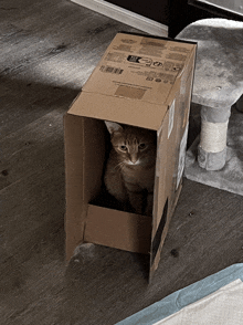 a cat is sitting in a cardboard box with a sticker on it that says ' a ' on it