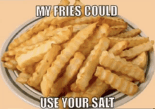 a plate of french fries with a caption saying my fries could use your salt