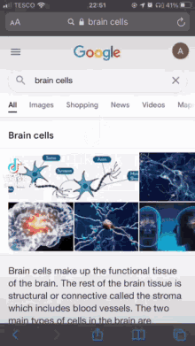 a google search for brain cells is displayed on a phone screen