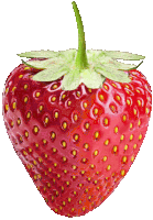 a strawberry with a green stem and leaves on a white background