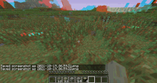 a screenshot of a minecraft game is saved