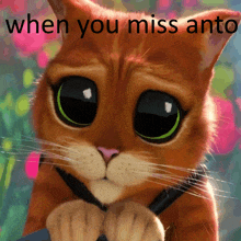 a picture of a cat with the words " when you miss anto " on it