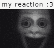 a black and white photo of a scary face with big eyes and a caption that says `` my reaction : 3 '' .