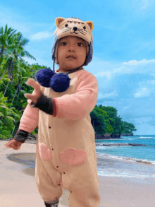 a baby wearing a cat costume is standing on the beach