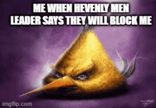 an angry bird with the caption " me when hevenly men leader says they will block me " on it