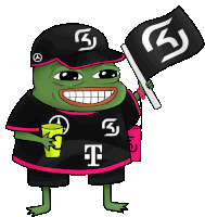 a frog wearing a black shirt with the letter t on it is holding a flag