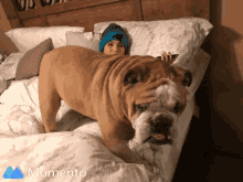 a momento photo of a boy laying on a bed next to a dog