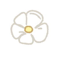 a drawing of a white flower with a yellow center on a white background