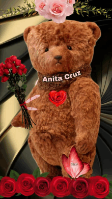 a teddy bear with the name anita cruz written on it