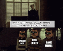 why is it when bozo pumps it is always you three hybrid defi and built in otc dank memes