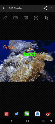 a screenshot of a gif studio app with a picture of coral