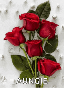 a bunch of red roses on a white background with the name aungie on the bottom