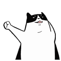 a black and white cat wearing sunglasses is making a funny face and raising its fist in the air .