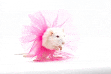 a white mouse wearing a pink tulle tutu