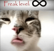 a close up of a cat with its tongue sticking out and the words freak level written above it