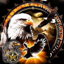 a picture of a bald eagle with the word dmc in the corner