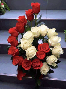 a bunch of red and white roses on a set of stairs