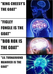 a diagram of a person 's brain shows that bob rox is the goat