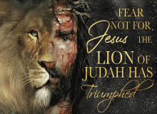 a poster of jesus with a lion and the words fear not for jesus the lion of judah has triumphed