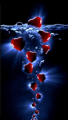 a group of red hearts are floating in the water .