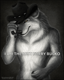 a furry wolf wearing a cowboy hat with the words i am the best furry bucko below it