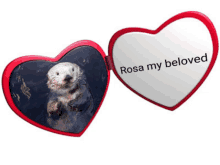 a heart shaped mirror with a picture of a sea otter and the words rosa my beloved