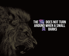 a picture of a lion with the words " the does not turn around when a small barks "