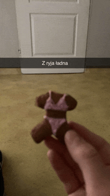 a person is holding a stuffed animal in a pink bra and panties with the words z ryja ładna above it