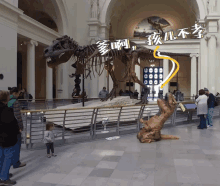 a t-rex skeleton is displayed in a museum with people looking at it