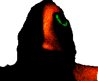 a silhouette of a person 's face with a green eye .