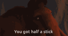 a picture of a bear with the words " you got half a stick " on it