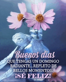 a picture of flowers in a vase with the words buenos dias que tengas un domingo radiante