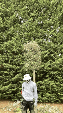 a man wearing a hat is standing in front of a dense forest