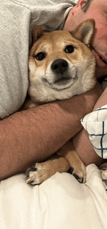 a man is hugging a dog that is smiling and looking at the camera