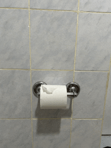 a roll of toilet paper on a toilet paper holder