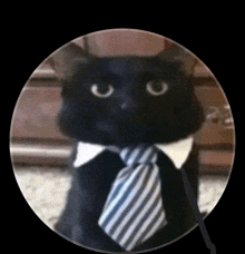 a black cat is wearing a striped tie and collar