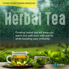 an advertisement for herbal tea shows a cup of tea on a table