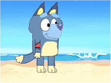 a cartoon dog is standing on a beach with waves in the background