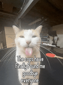 a cat with its tongue hanging out and a caption that says the cops have finally found me goodbye everyone