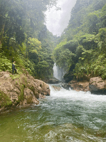 a man stands on a rock near a waterfall