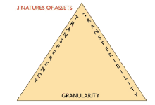 a triangle with the words " 3 natures of assets " written on it