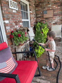 a little boy is watering plants on a porch with the number 809 on the brick wall behind him