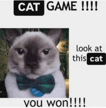 a cat wearing a bow tie with the caption cat game look at this cat you won !!!