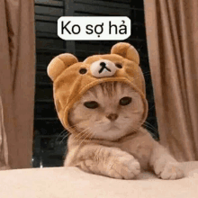 a cat wearing a teddy bear hat is sitting on a table .