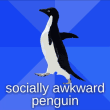 a penguin on a blue background with the words socially awkward penguin